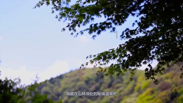 廿日是几日？