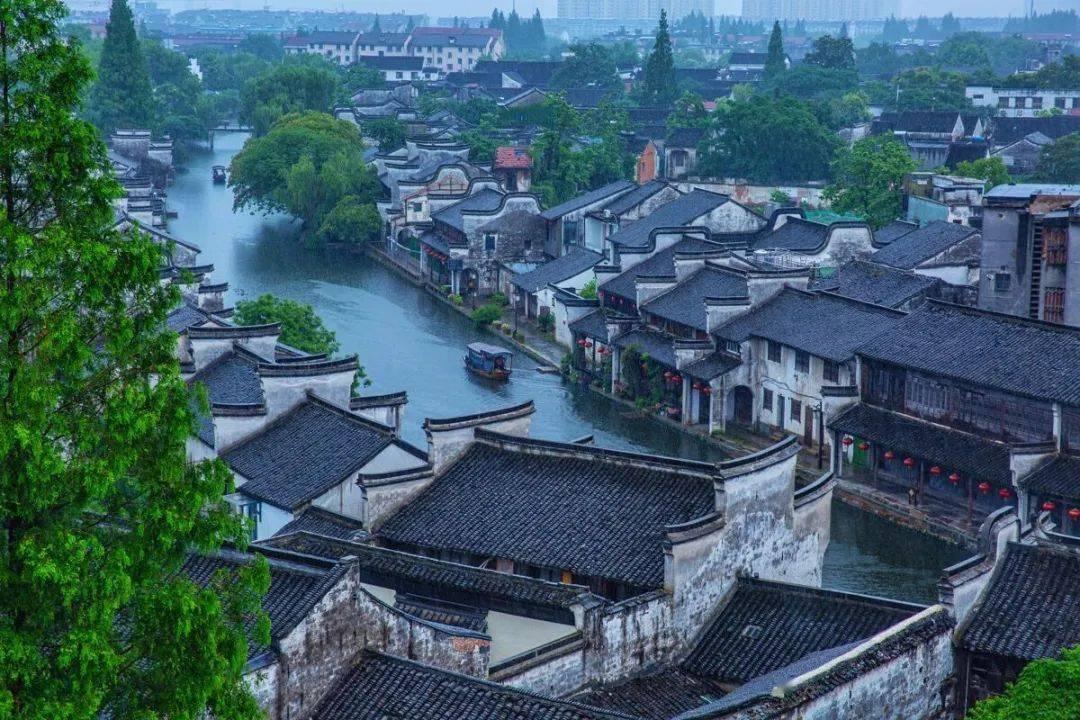 机智问答网页-技能天团,让用玉米怎么做发糕?不再是难题